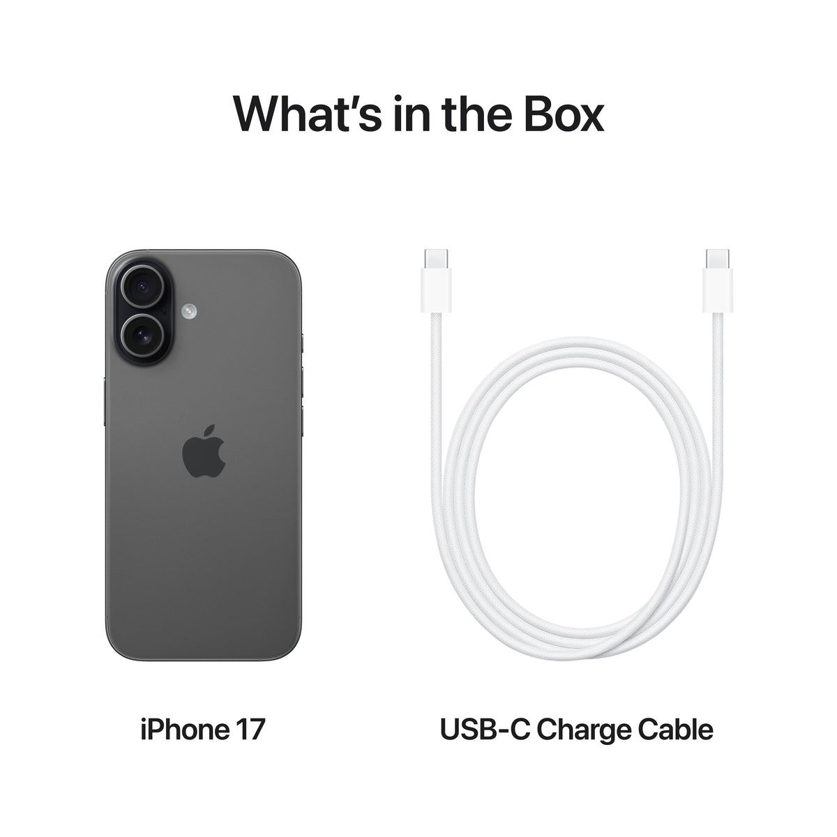 iPhone_17_Black_PDP_Image_Position_8__en-AE