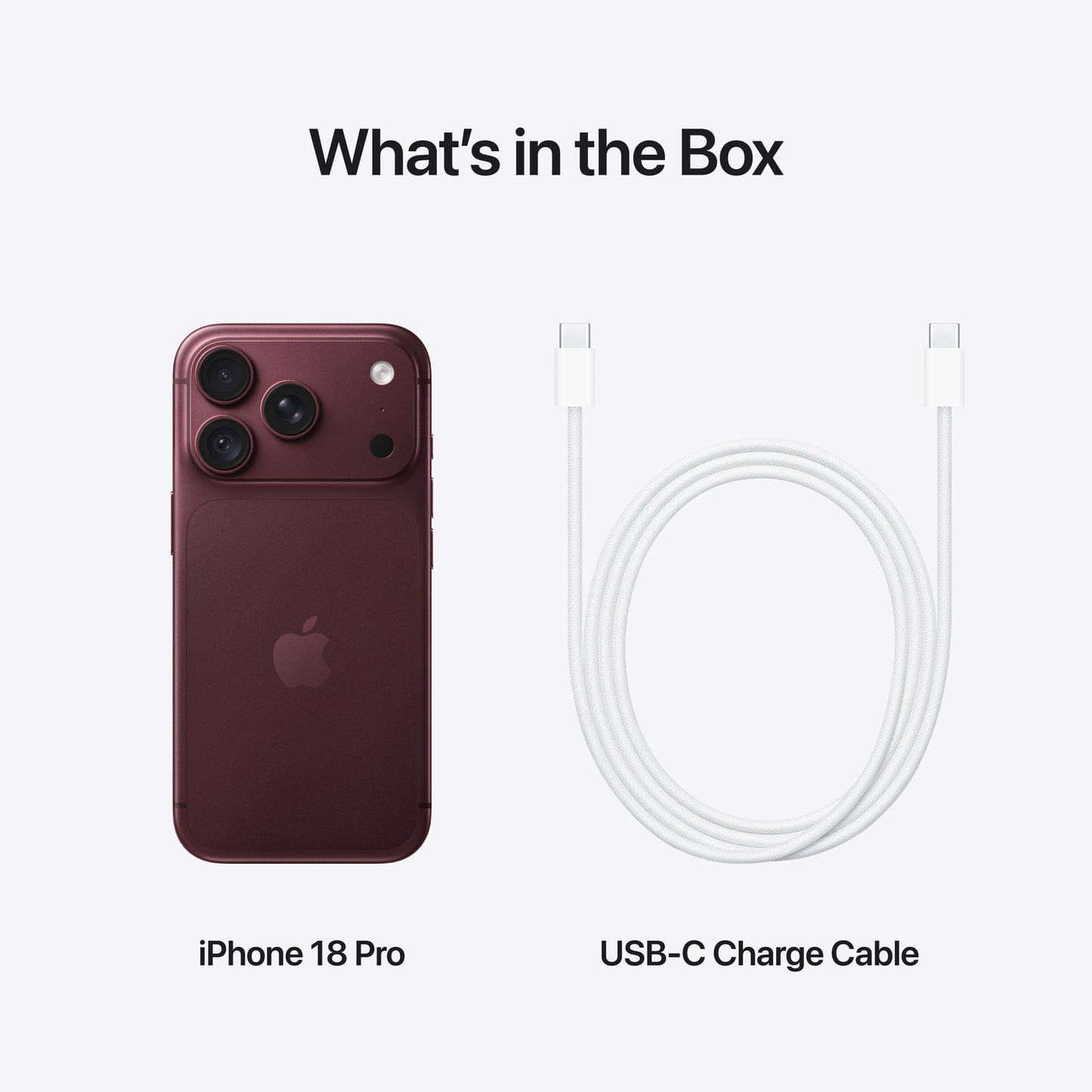 iPhone_18_Pro_Burgundy_PDP_Image_Position_9__en-AE