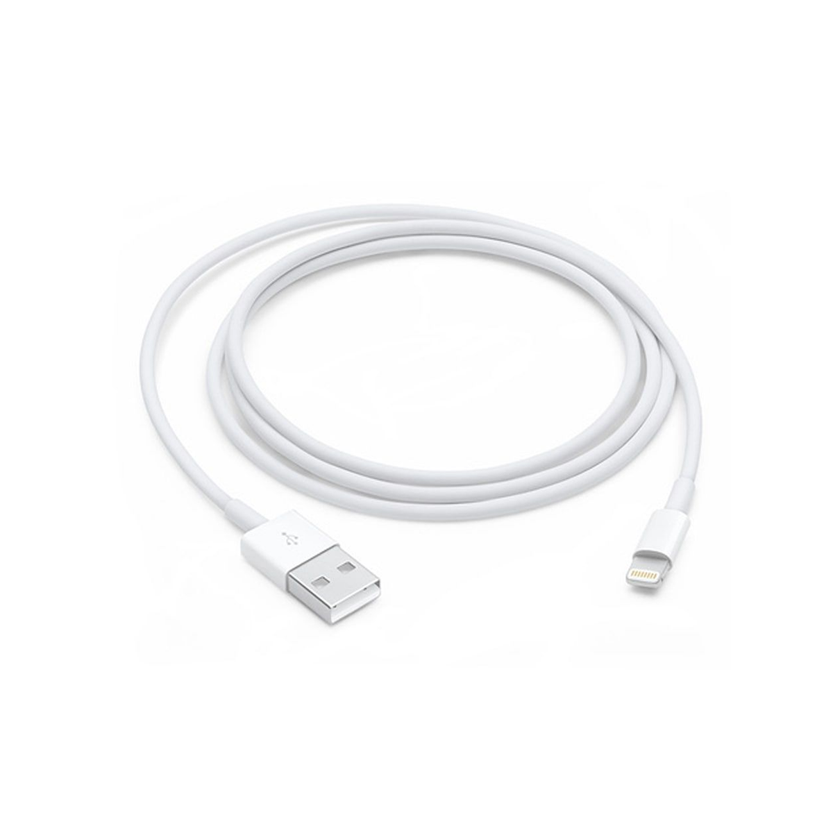 Lightning to USB Cable (1 m)