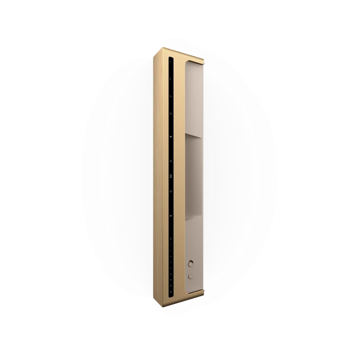 Bang & Olufsen BeoSound Level Stereo Set - Gold Tone / Light Oak